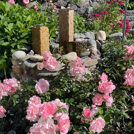Gartenhotel Rosenhof Bei Kitzbühel 3* Oberndorf in Tirol