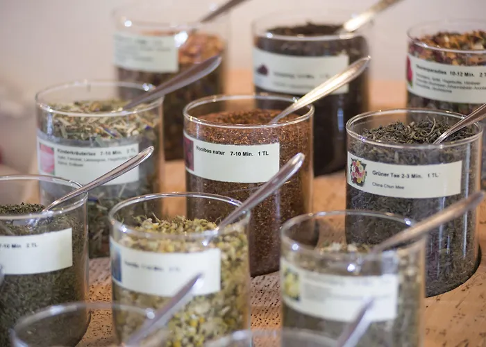 Hotel apartamentowy Gartenhotel Rosenhof Bei Kitzbuehel Oberndorf in Tirol