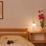 Gartenhotel Rosenhof Bei Kitzbuehel アパートホテル 4*